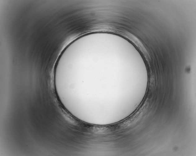 X0000103451242200810031428