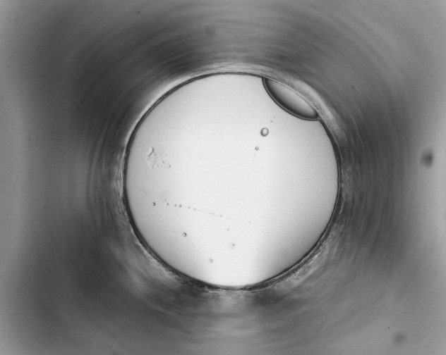 X0000103451244200810031428