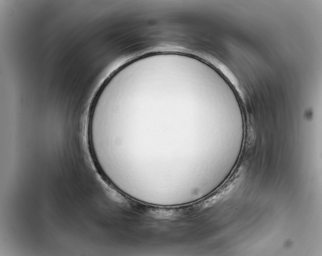 X0000103451245200810031428