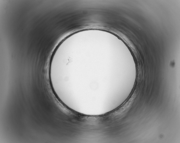 X0000103451246200810031428