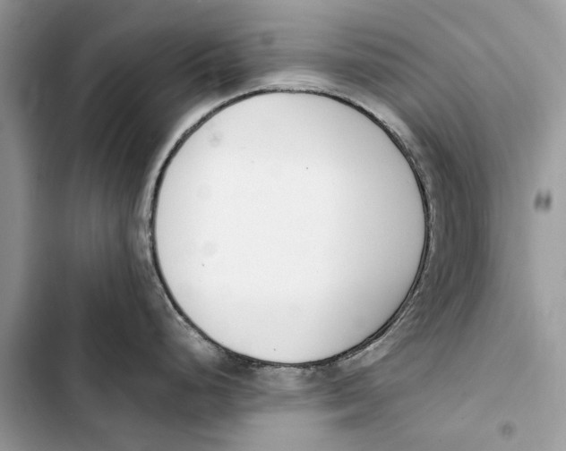 X0000103451248200810031428