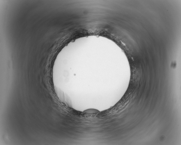 X0000103451249200810031428