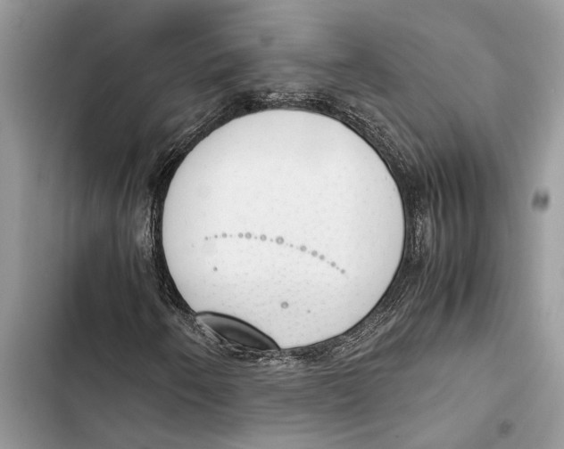 X0000103451250200810031428