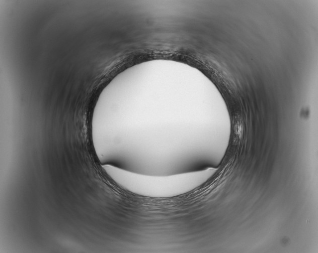 X0000103451252200810031428