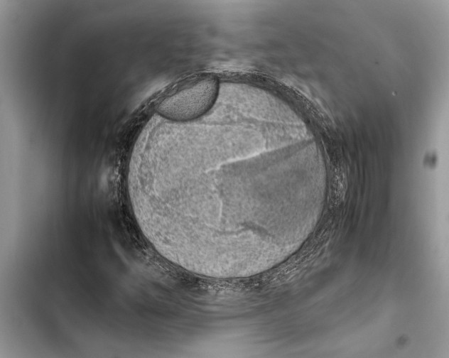 X0000103451254200810031428