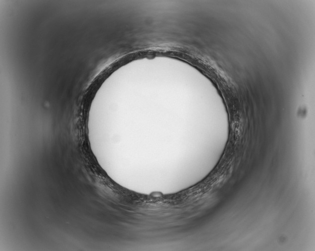 X0000103451256200810031428