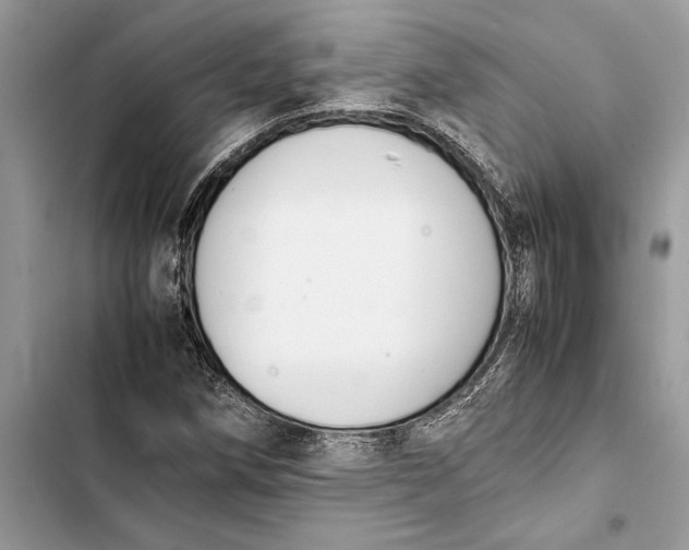 X0000103451258200810031428