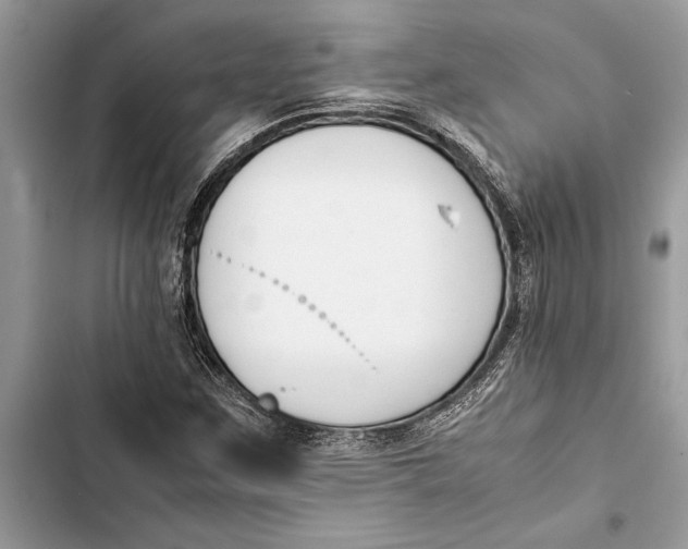 X0000103451259200810031428