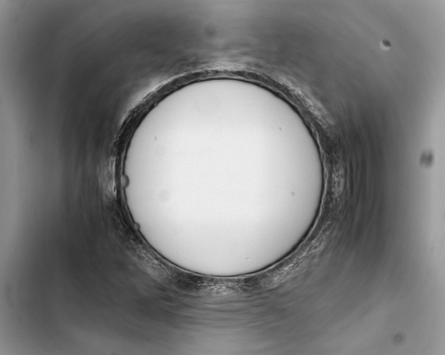 X0000103451262200810031428