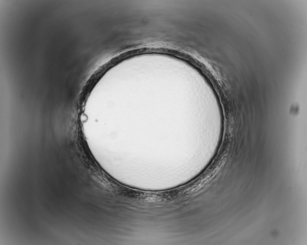 X0000103451263200810031428