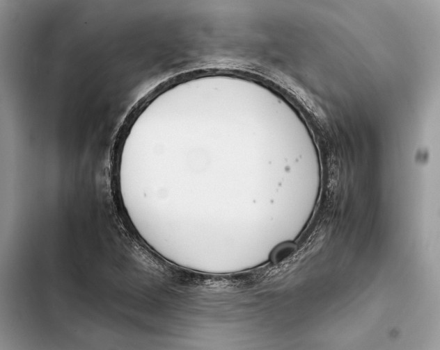 X0000103451264200810031428