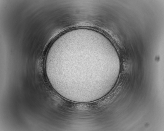 X0000103451266200810031428