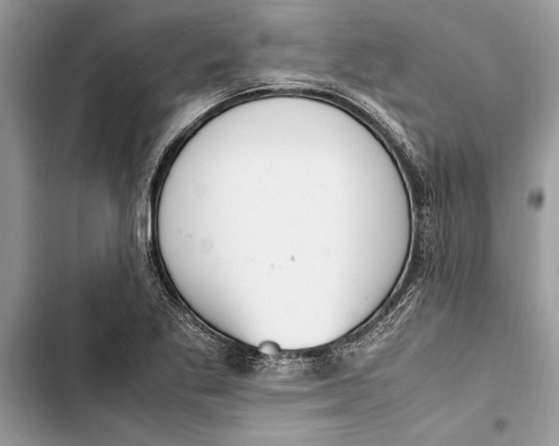 X0000103451269200810031428