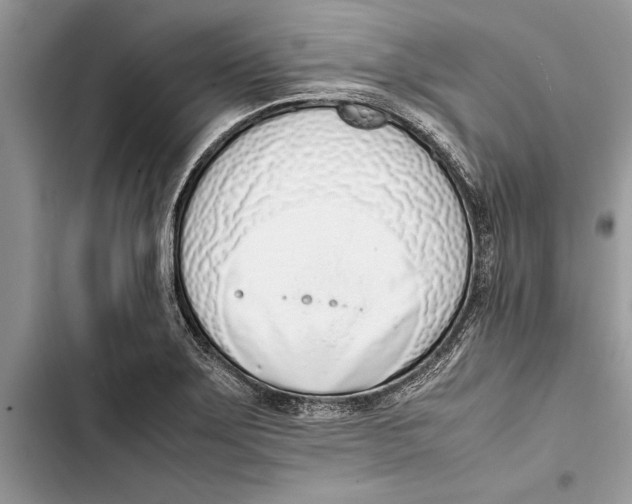 X0000103451275200810031427