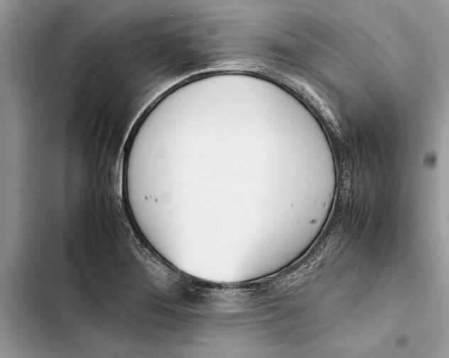 X0000103451276200810031427