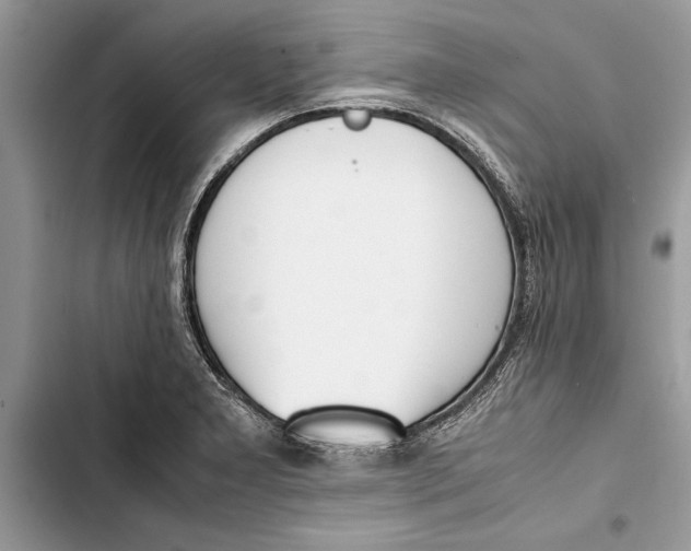 X0000103451277200810031427