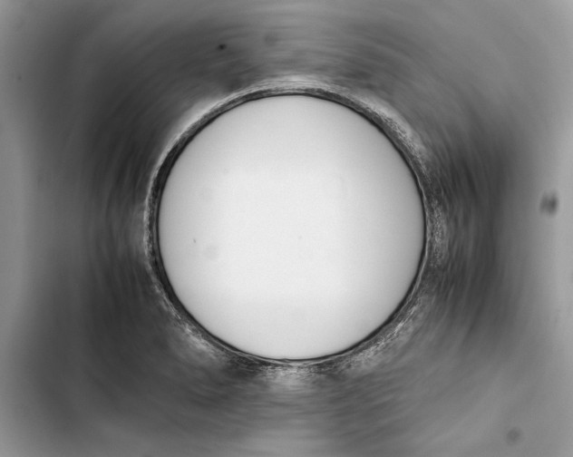 X0000103451278200810031427