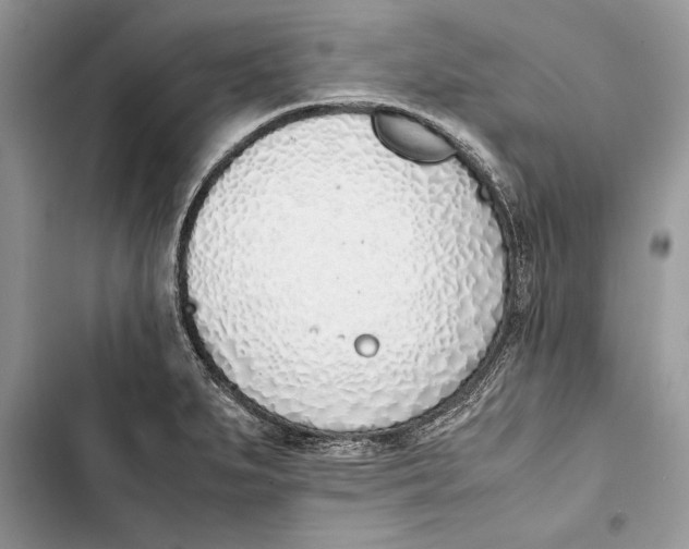 X0000103451279200810031427