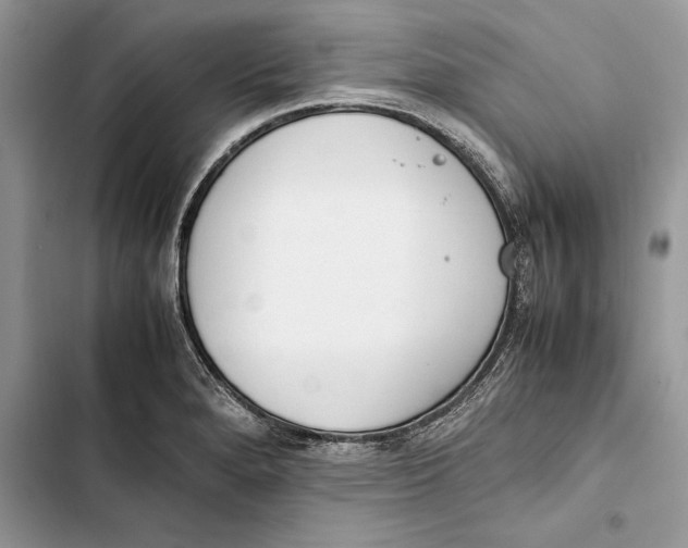 X0000103451280200810031427