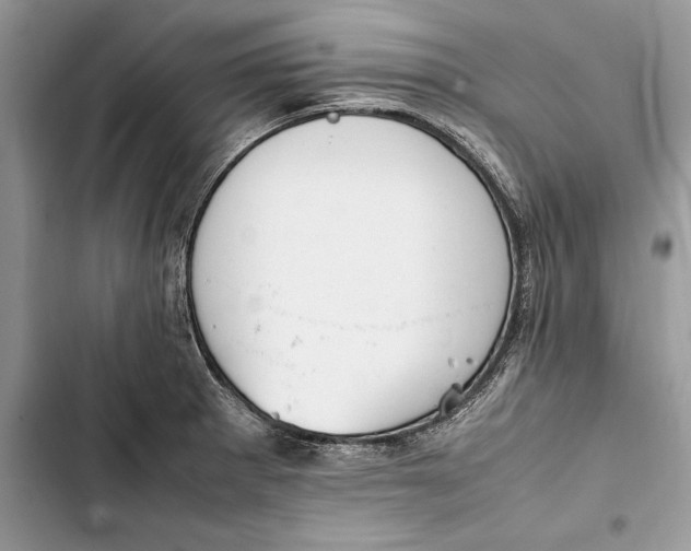 X0000103451281200810031427