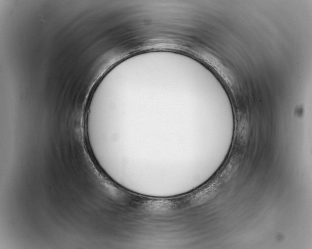 X0000103451282200810031427