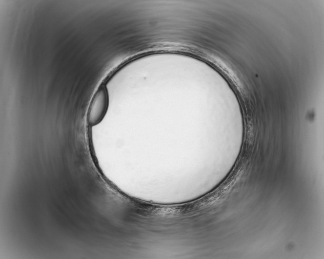 X0000103451283200810031427