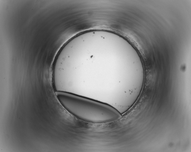 X0000103451284200810031427