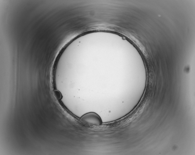 X0000103451285200810031427