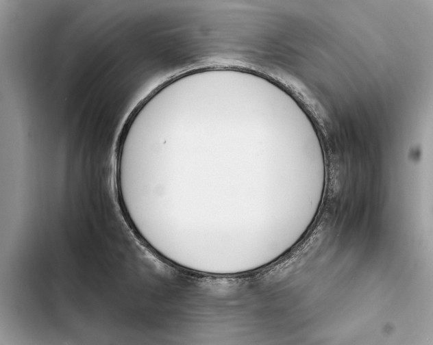 X0000103451286200810031427