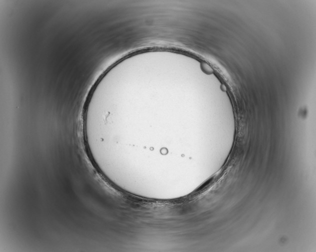 X0000103451287200810031427