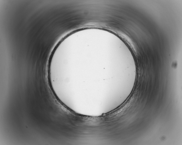 X0000103451288200810031427