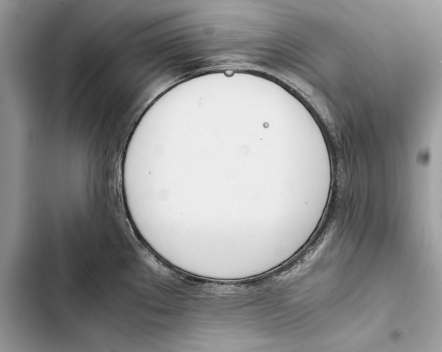 X0000103451289200810031427