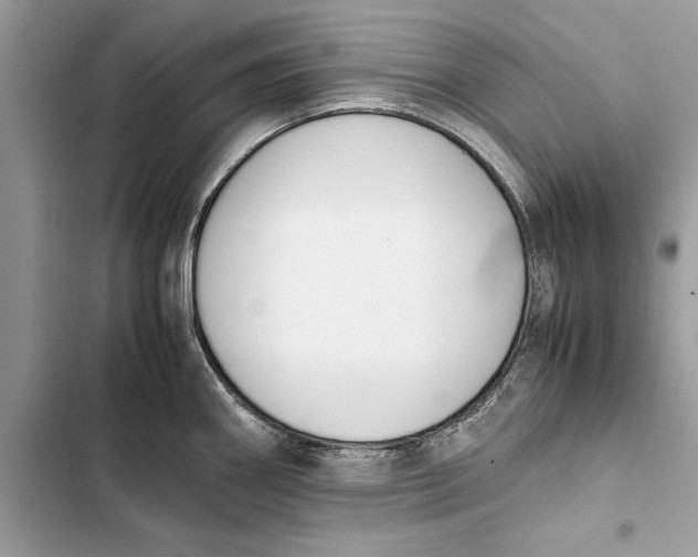 X0000103451290200810031427