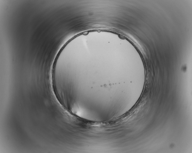 X0000103451291200810031427