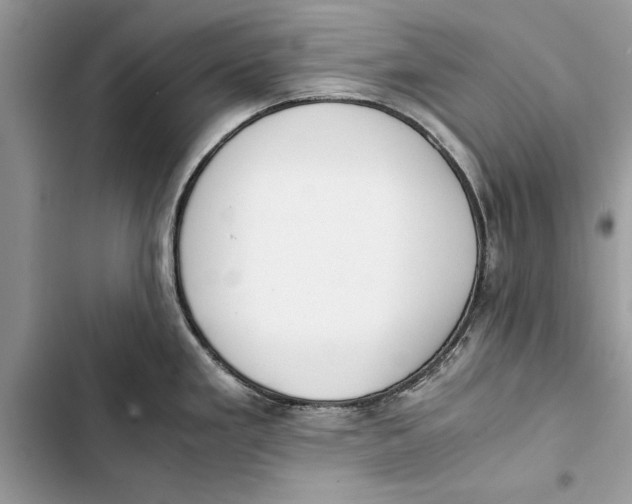 X0000103451293200810031427