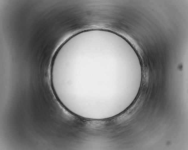 X0000103451294200810031427