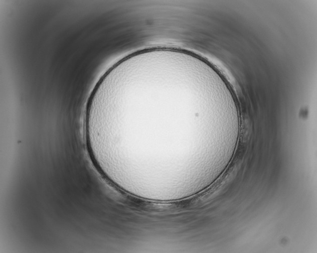 X0000103451295200810031427