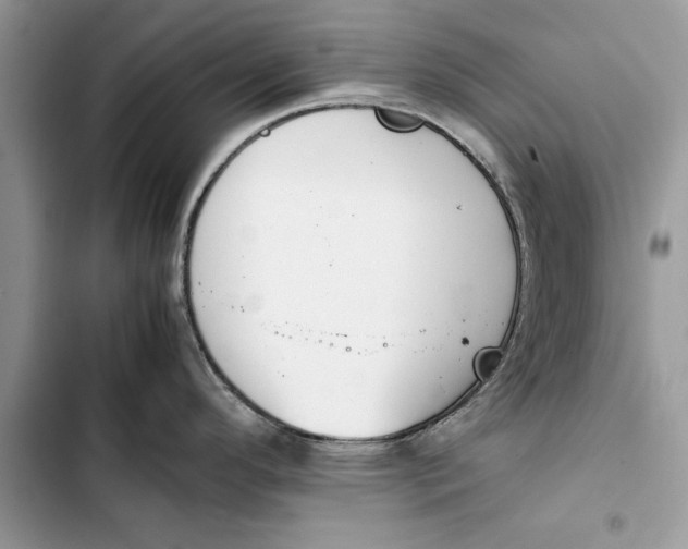 X0000103451296200810031427