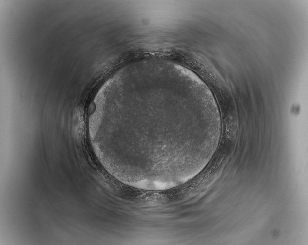 X0000103451298200810031426