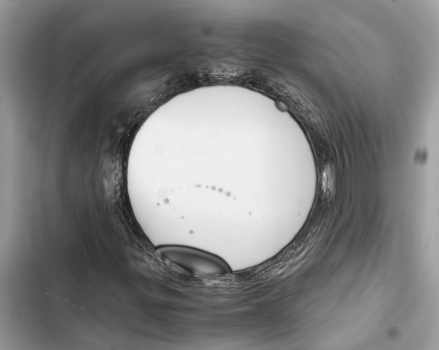 X0000103451299200810031426