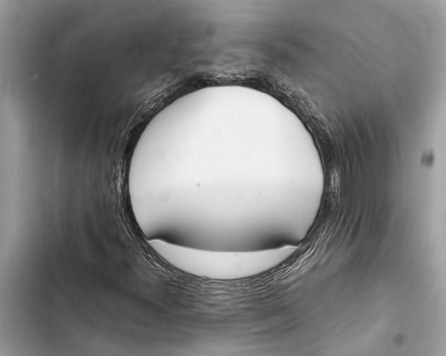 X0000103451300200810031426