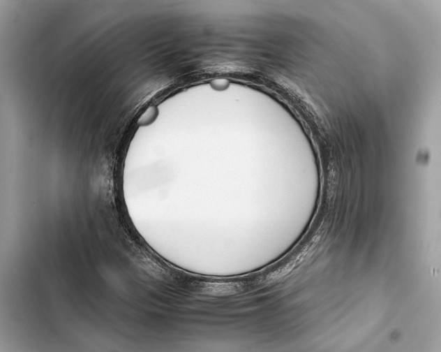 X0000103451305200810031426