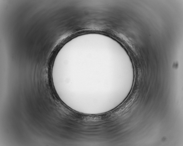 X0000103451307200810031426