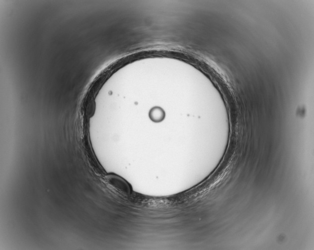 X0000103451310200810031426