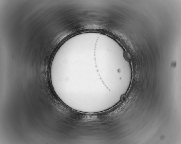 X0000103451313200810031427