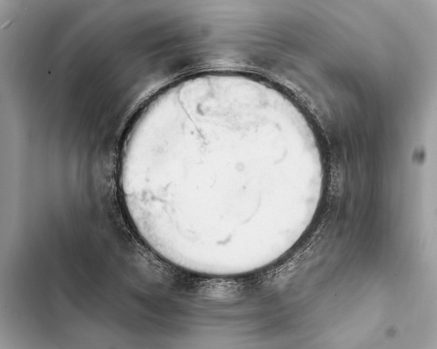 X0000103451314200810031427