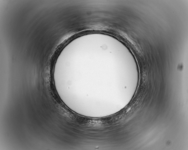 X0000103451315200810031427