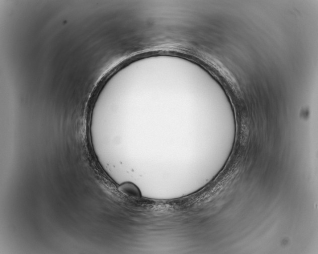 X0000103451316200810031427