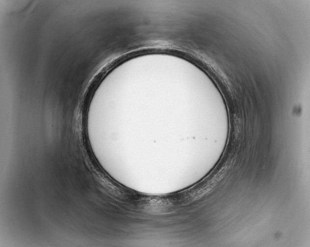 X0000103451318200810031427