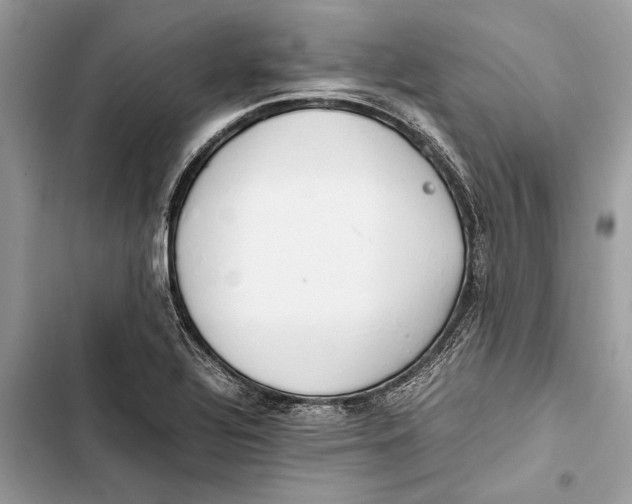 X0000103451320200810031427